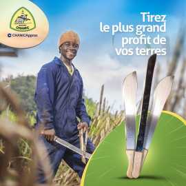 Avec BIZCONGO, trouvez beaucoup plus que des coordonnées !