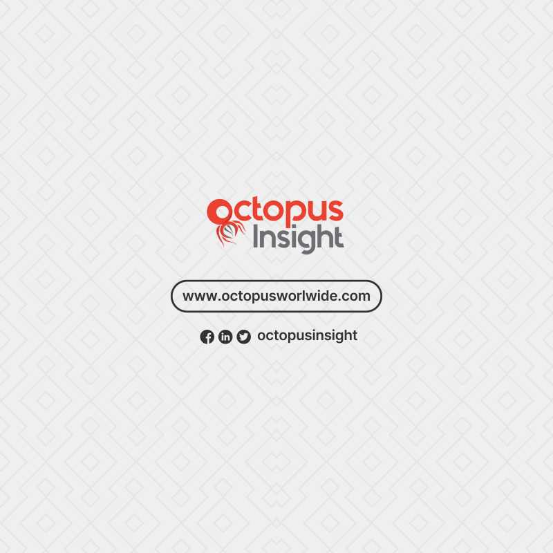 Octopus Consulting and Insight