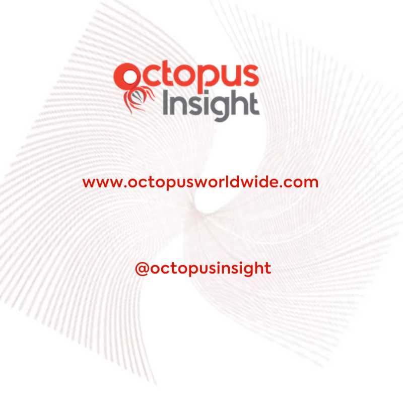 Octopus Consulting and Insight