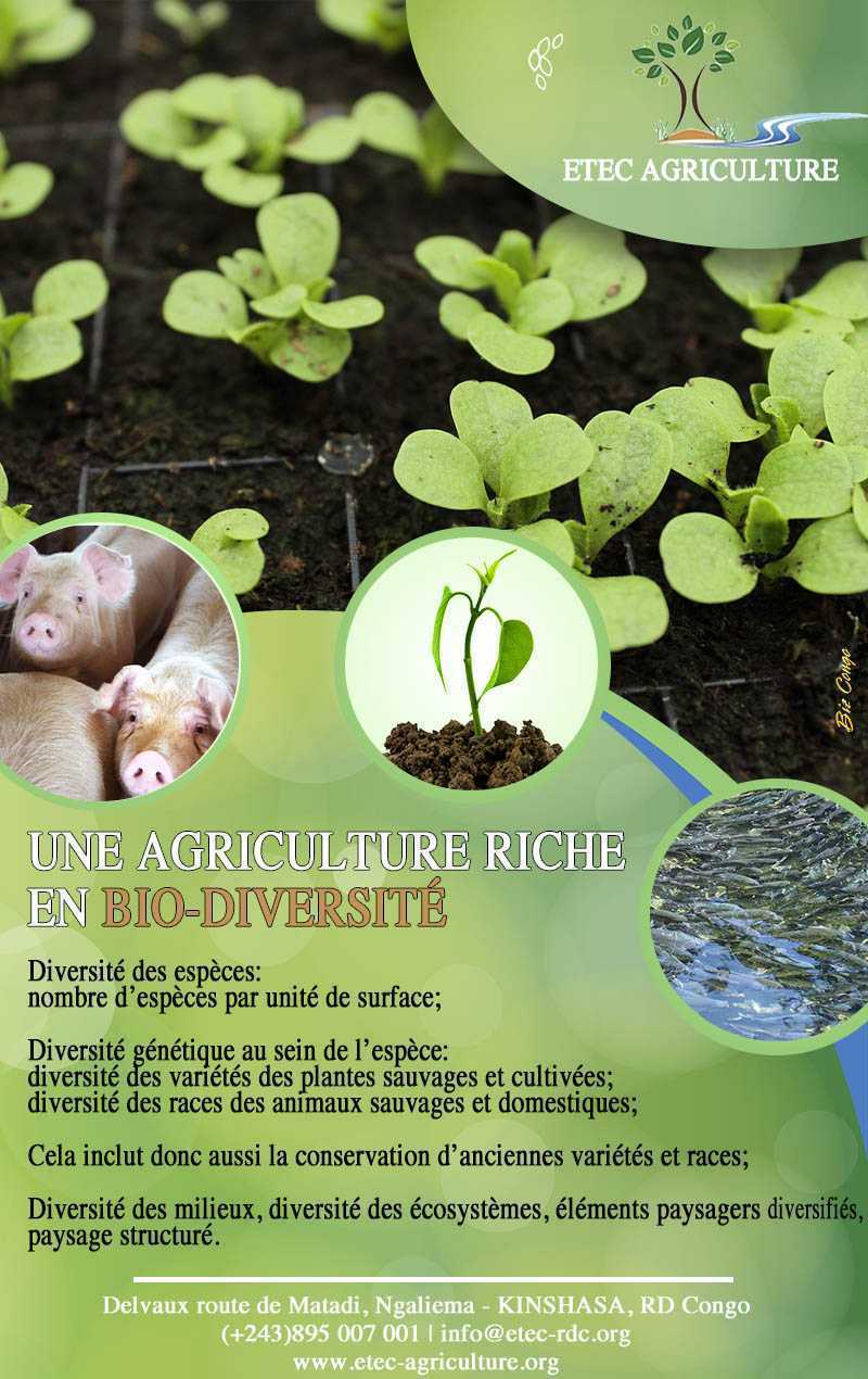 ETEC AGRICULTURE