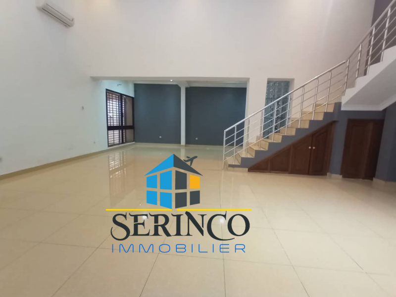 Serinco immobilier