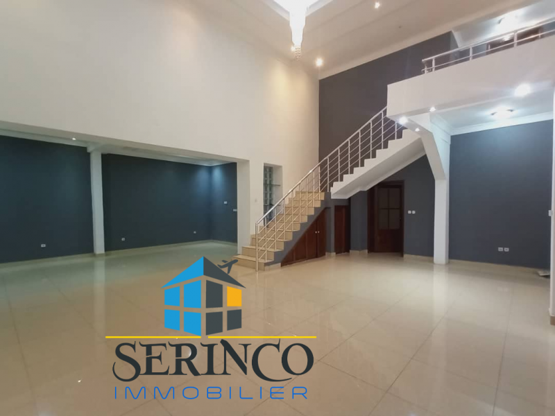 Serinco immobilier