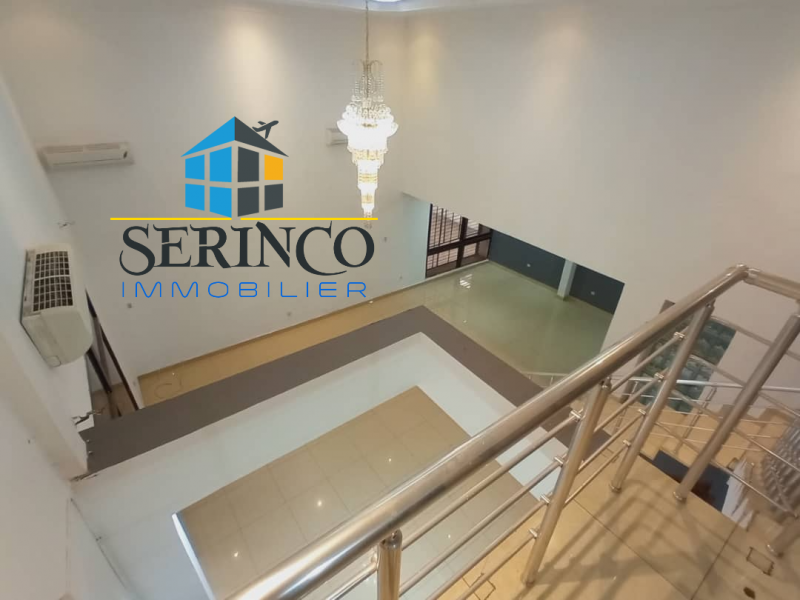 Serinco immobilier