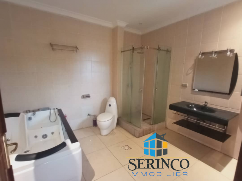 Serinco immobilier