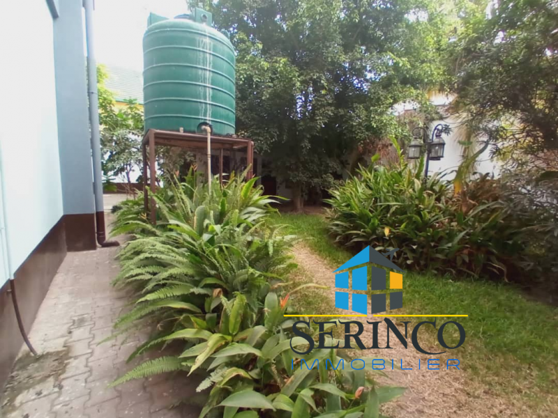 Serinco immobilier