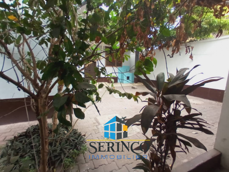 Serinco immobilier