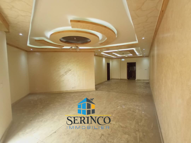 Serinco immobilier