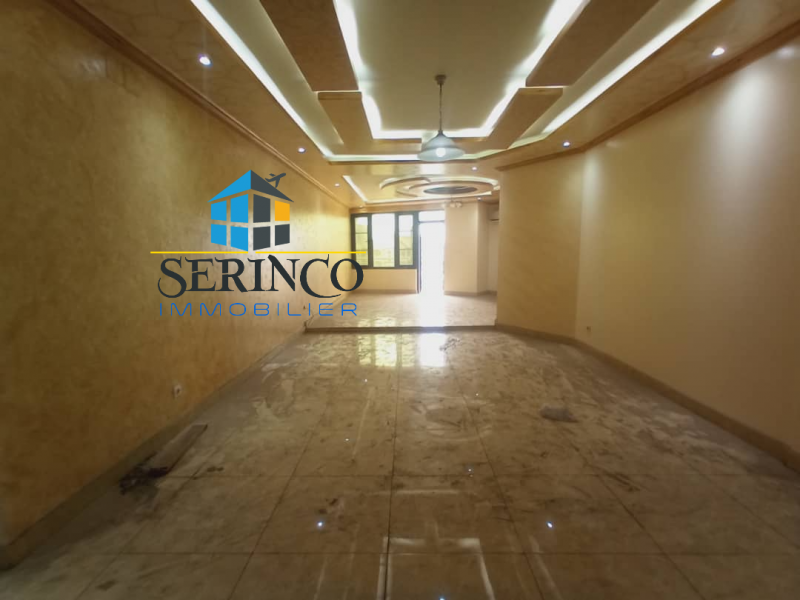 Serinco immobilier