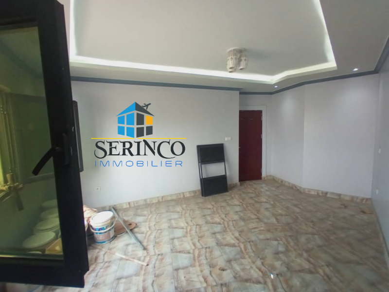 Serinco immobilier