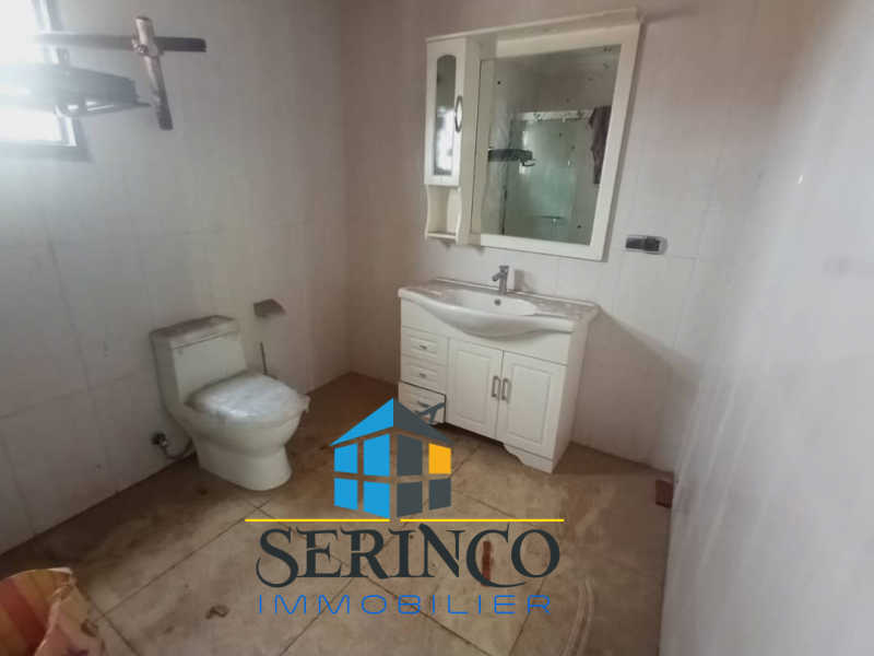 Serinco immobilier