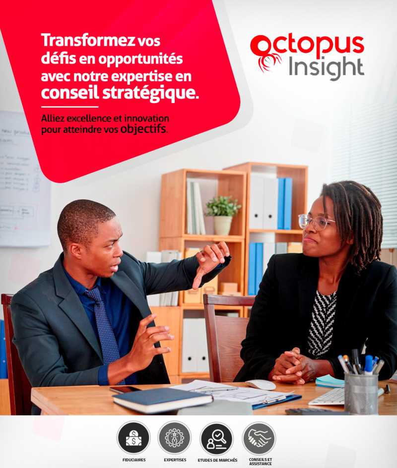 OCTOPUS CONSULTING AND INSIGHT