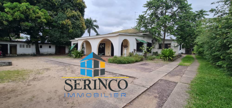 SSERINCO IMMOBILIER & CONSTRUCTION